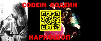гашик Кингисепп
