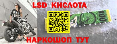 гашик Кингисепп