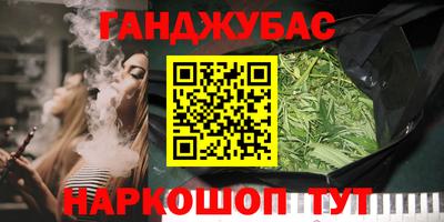 гашик Кингисепп