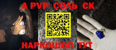 гашик Кингисепп