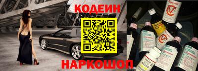 гашик Кингисепп