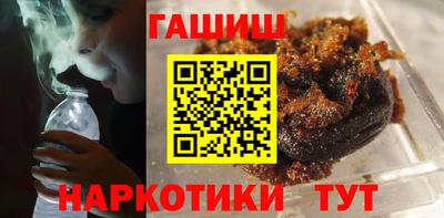 гашик Кингисепп