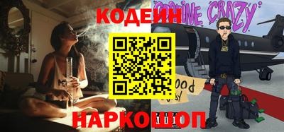гашик Кингисепп