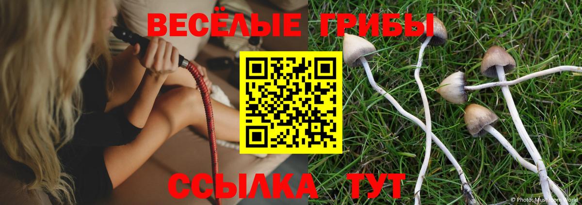 Псилоцибиновые грибы мухоморы  купить   Биробиджан  Вход с VPN 
